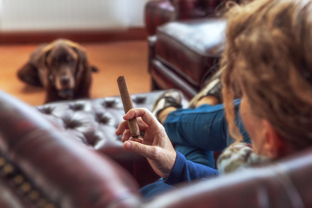 L’Atelier ROXY Cigars: Honoring Canine Companions with Exceptional Blends