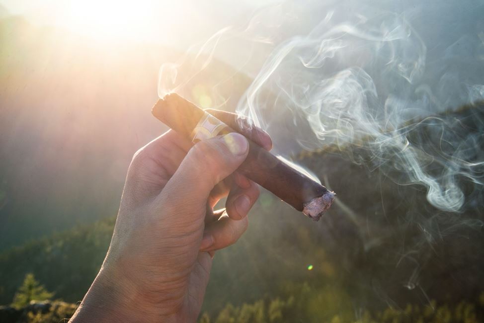 how many cigarettes can i bring to new zealand How much duty and tax is charged and must I declare it? : r/LegalAdviceNZ how many cigarettes can i bring to new zealand How much duty and tax is charged and must I declare it? : r/LegalAdviceNZ