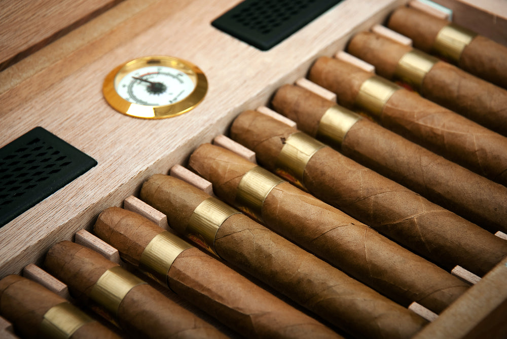 How to Treat Mold in Your Cigar Humidor – Case Elegance