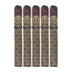Asylum 867 Midnight Oil 6x54 Toro 5 Pack