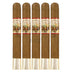 AJ Fernandez New World Connecticut Gordo 5 Pack