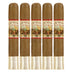 AJ Fernandez New World Connecticut Robusto 5 Pack