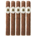 Ashton Aged Maduro No40 5 Pack