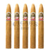 Ashton Cabinet Series Pyramid 5 Pack