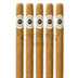 Ashton Classic 898 5 Pack