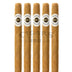 Ashton Classic 898 5 Pack 