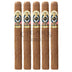 Ashton Esg 20 Year Salute Churchill 5 Pack