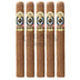 Ashton Esg 20 Year Salute Churchill 5 Pack 