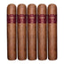 Asylum 13 Authentic Corojo Toro Super Gordo 5 Cigars