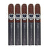 Asylum 2022 PCA Exclusive Robusto 5 Pack