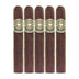 Asylum Sensorium 6x60 Gordo 5 Pack