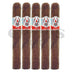 AVO Syncro Caribe Special Toro 5 Pack