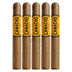 Camacho Connecticut Gordo 5 Pack