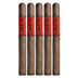Camacho Corojo Churchill 5 Pack