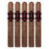CAO Consigliere Associate 5 Pack