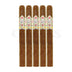CAO Gold Churchill 5 Pack