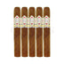 CAO Gold Robusto 5 Pack
