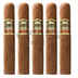 Casa Magna Colorado Gigantor 5 Pack