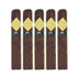 Cavalier Black II Robusto Gordo 5 Pack