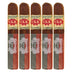 CLE 25th Anniversary Robusto 5 Pack