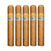 CLE Connecticut Sixty Double Toro 5 Pack