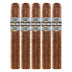 Cohiba Nicaragua N60 5 Pack