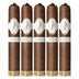 Davidoff Dominicana Robusto 5 Pack