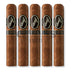 Davidoff Nicaragua Robusto Box Press 5 Pack