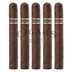 Dunbarton Mi Querida Ancho Largo 5 Pack