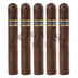 Dunbarton Mi Querida Muy Gordo Grande 5 Pack