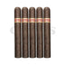 Dunbarton Mi Querida Triqui Traca No.652 5Pack