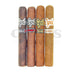 Epic Robusto Sampler Pack