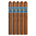 Foundation El Gueguense Churchill 5 Pack