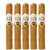 Oliva Connecticut Reserve Petit Corona 5 Pack