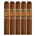 Oscar Valladares 2012 Corojo Sixty 5 Pack
