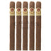 Padron 1964 Anniversary Diplomatico Maduro 5 Pack