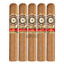 Perdomo 20th Anniversary Connecticut Epicure 5 Pack