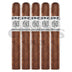 Punch Signature Gigante 5 Pack