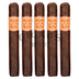 Rocky Patel Catch Twenty Two Toro 5 Pack