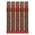 Rocky Patel Java Red Robusto 5 Pack