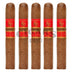 Rocky Patel Sungrown Petit Corona 5 Pack