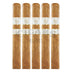 Rocky Patel Vintage 1999 Connecticut Robusto 5 Pack