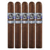 Rocky Patel Winter Collection Robusto 5 Pack