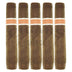 Roma Craft Neanderthal HN 5 Pack