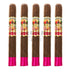 San Cristobal Ovation Toro 5 Pack