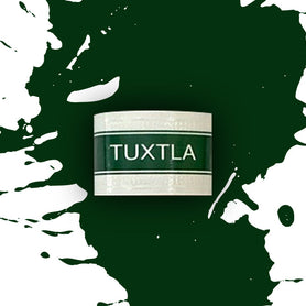 Tatuaje Tuxtla Limited Edition Avion 13 Perfecto Band