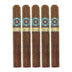 Warped Moon Garden Especial Toro 5 Pack