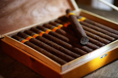 Cigar Aficionado’s Best Cigars of 2021 – Part 3