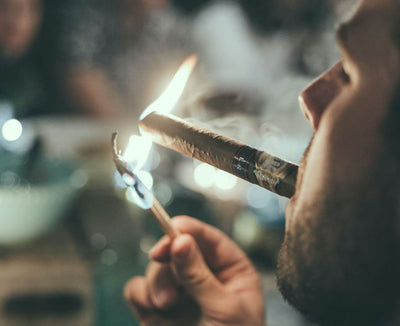 Top 6 Drew Estate Sticks for After Hours Smoking