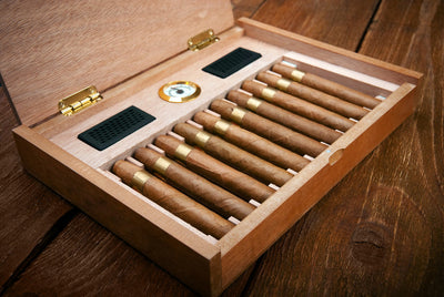 Great Humidors at Every Size: 5 Top Picks from Our Stores